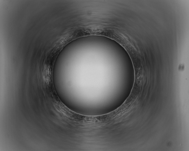 X0000100190866200805301245
