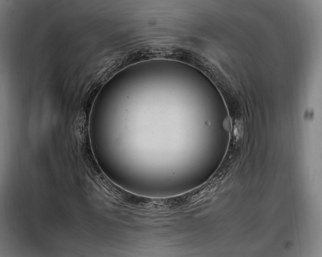 X0000100190867200805301245
