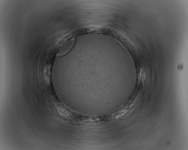 X0000100190868200805301245