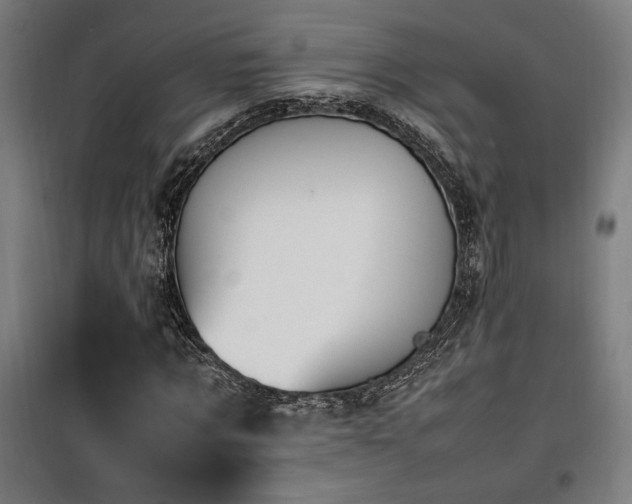 X0000100190869200805301245