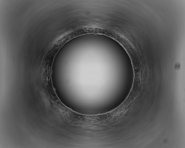 X0000100190870200805301245
