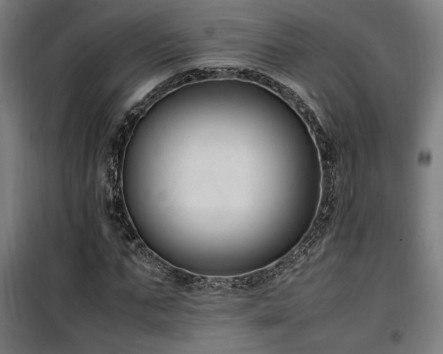 X0000100190871200805301245