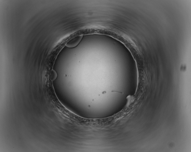 X0000100190872200805301245