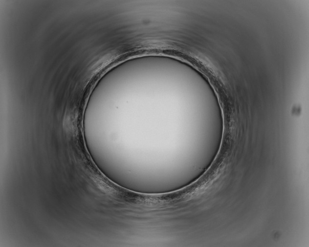 X0000100190873200805301245