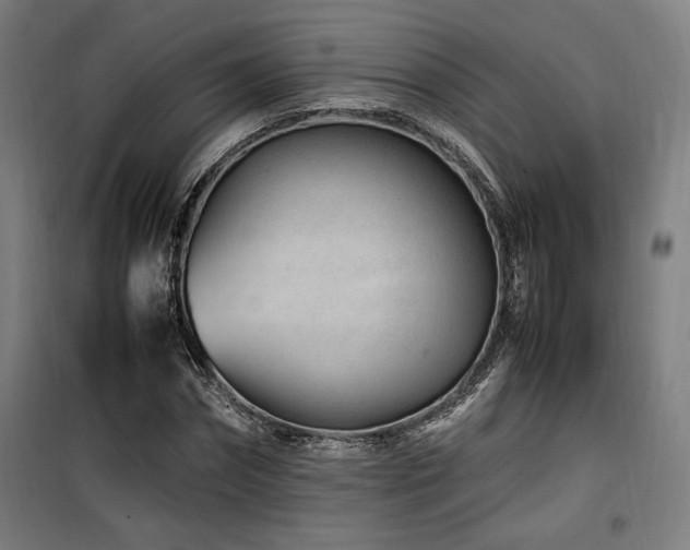 X0000100190874200805301245