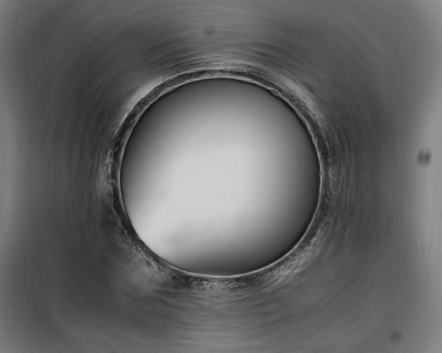 X0000100190875200805301245