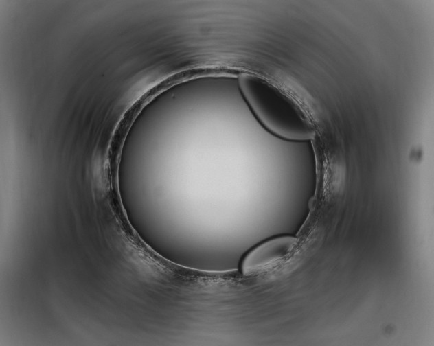X0000100190876200805301245
