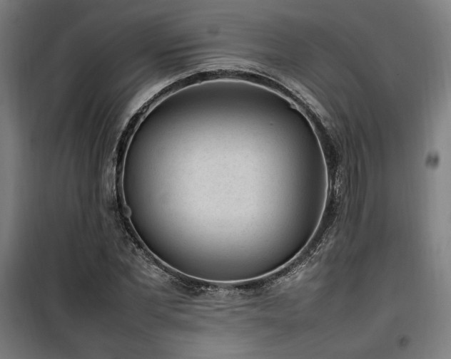 X0000100190877200805301245