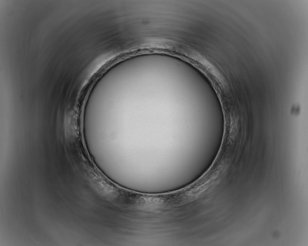 X0000100190878200805301245