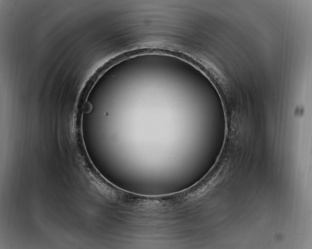 X0000100190880200805301245