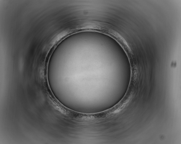 X0000100190882200805301245