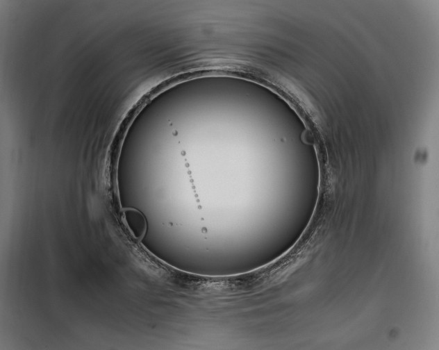 X0000100190883200805301245