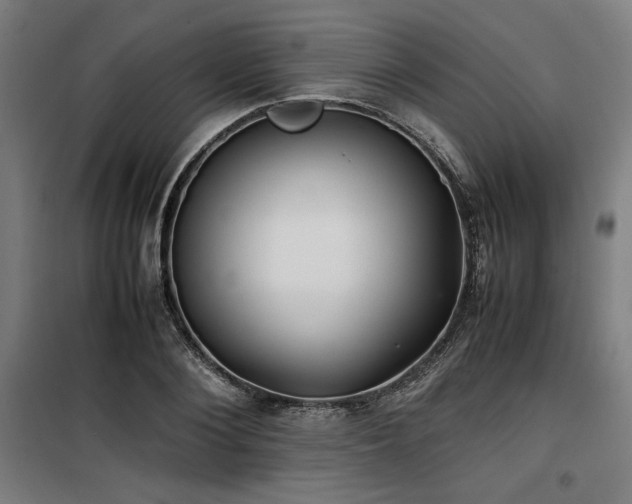 X0000100190884200805301245