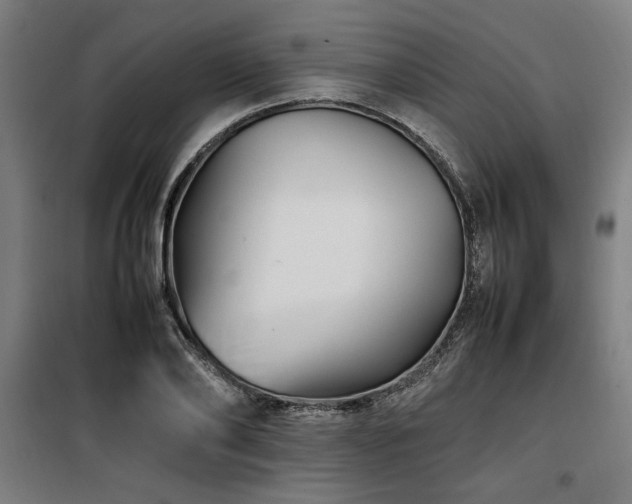 X0000100190886200805301245
