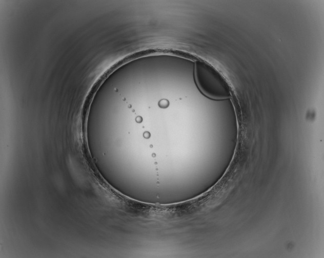 X0000100190887200805301245
