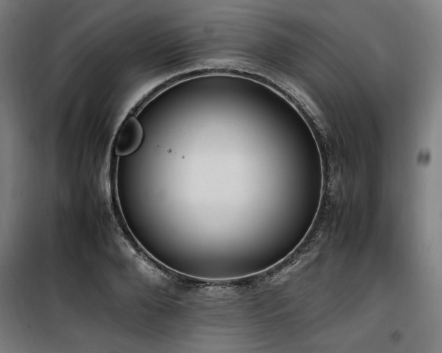 X0000100190888200805301245
