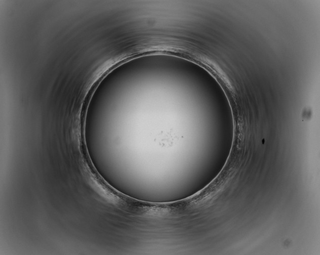 X0000100190890200805301245
