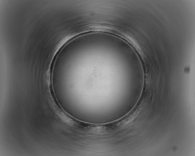 X0000100190891200805301245