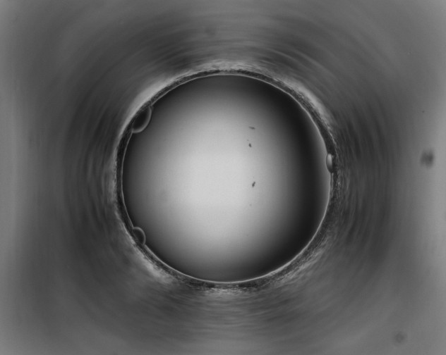 X0000100190894200805301244