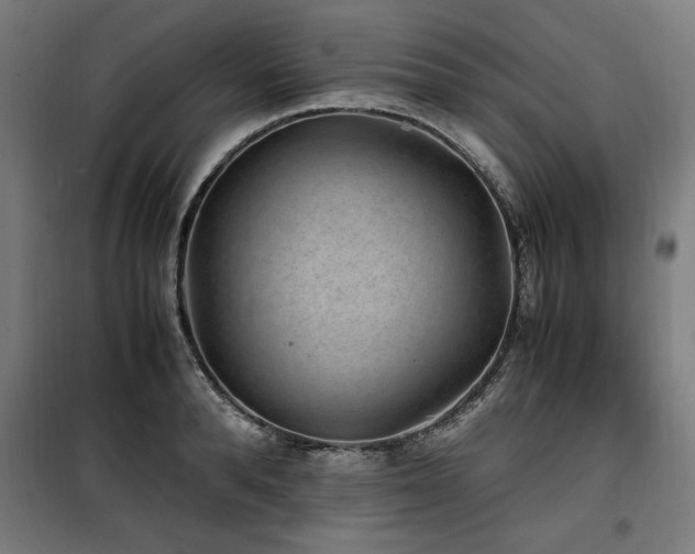 X0000100190896200805301244