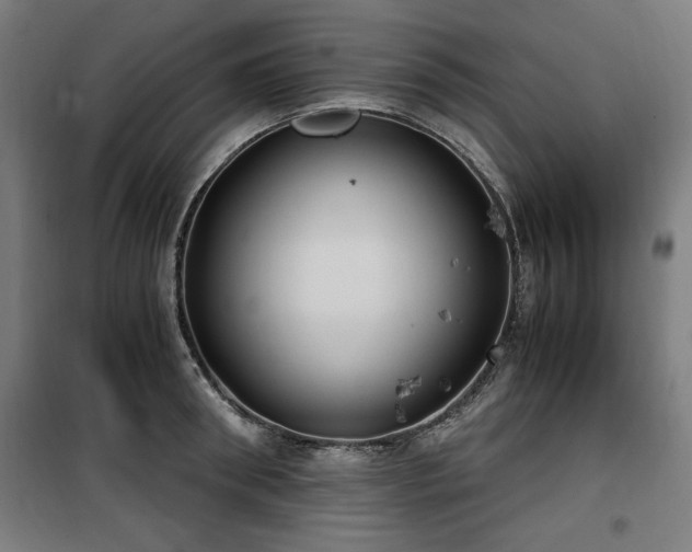 X0000100190898200805301244