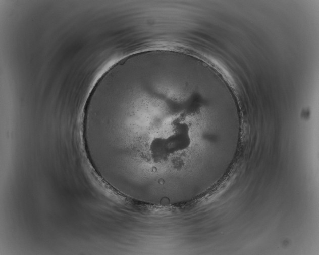 X0000100190899200805301244