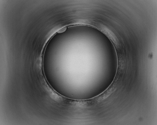 X0000100190900200805301244