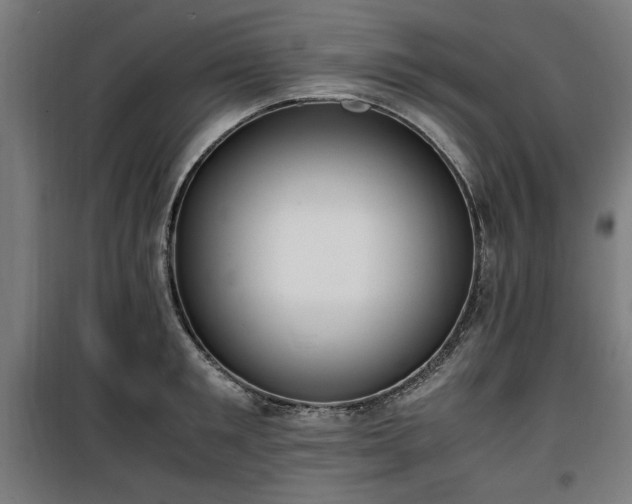 X0000100190901200805301244