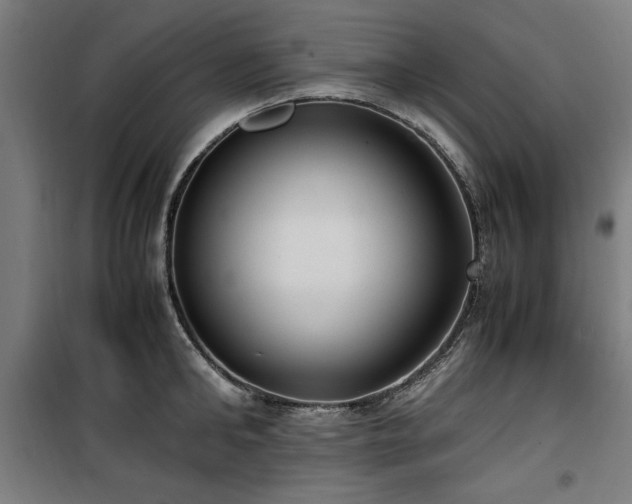 X0000100190902200805301244
