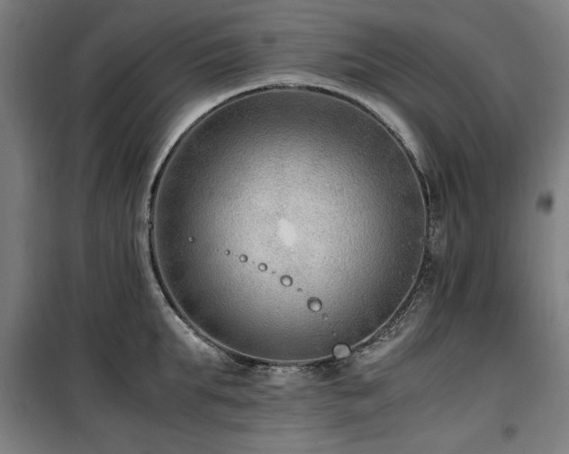 X0000100190903200805301244