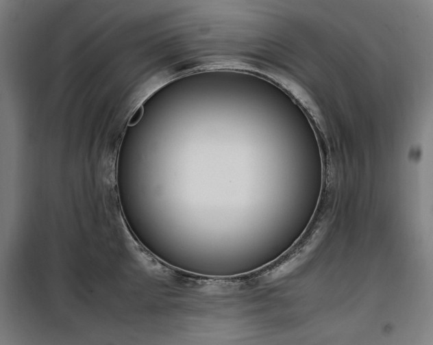 X0000100190905200805301244