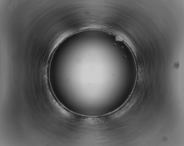 X0000100190906200805301244