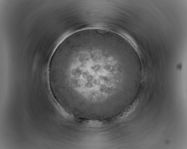X0000100190907200805301244