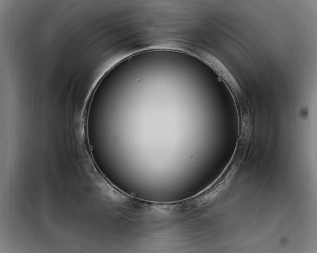 X0000100190908200805301244
