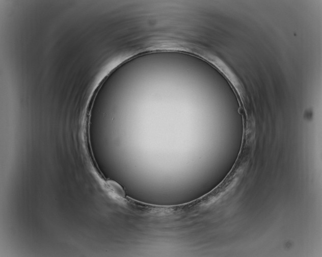 X0000100190909200805301244