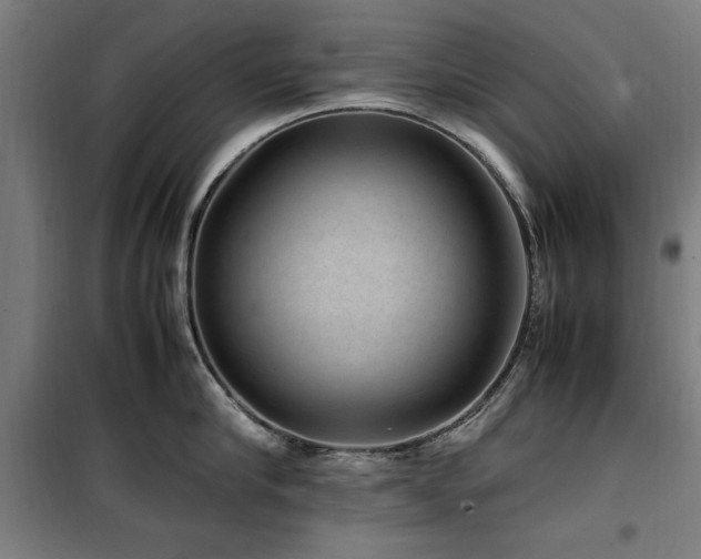 X0000100190910200805301244