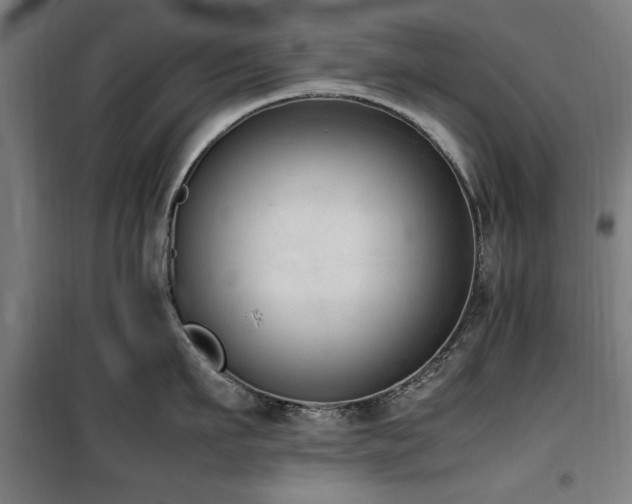X0000100190911200805301244