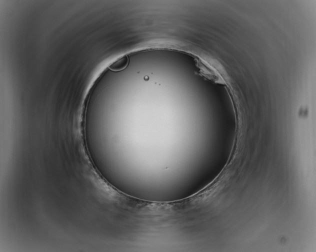 X0000100190912200805301244