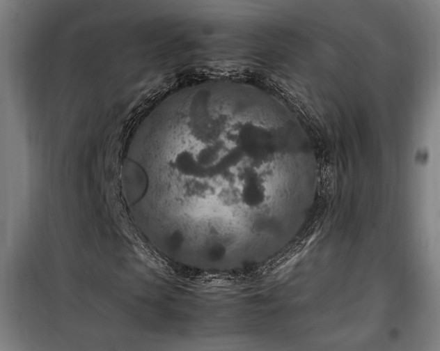 X0000100190913200805301244