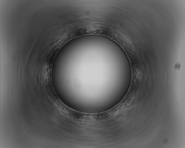 X0000100190914200805301244