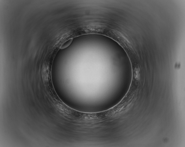X0000100190915200805301244