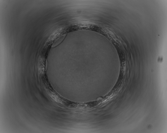 X0000100190916200805301244