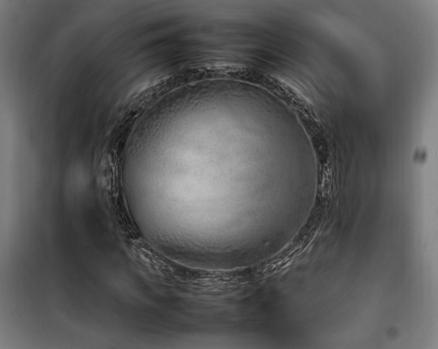 X0000100190917200805301244
