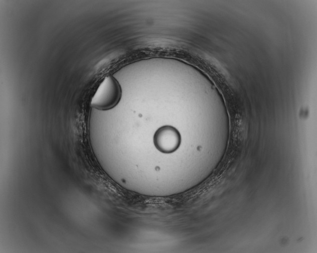 X0000100190918200805301244
