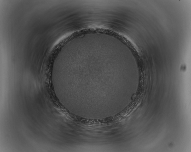 X0000100190919200805301244