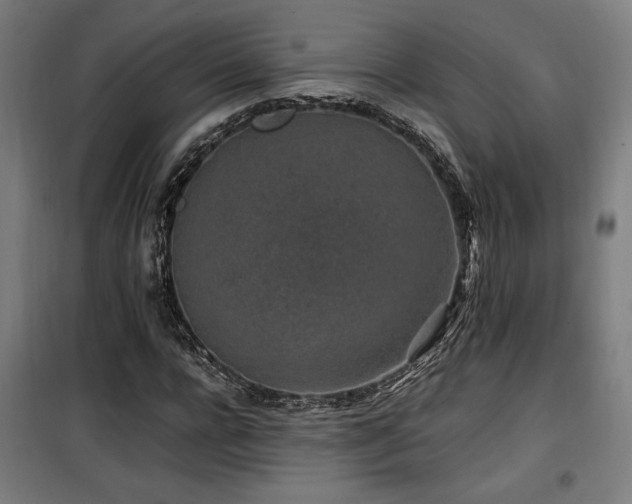 X0000100190920200805301244