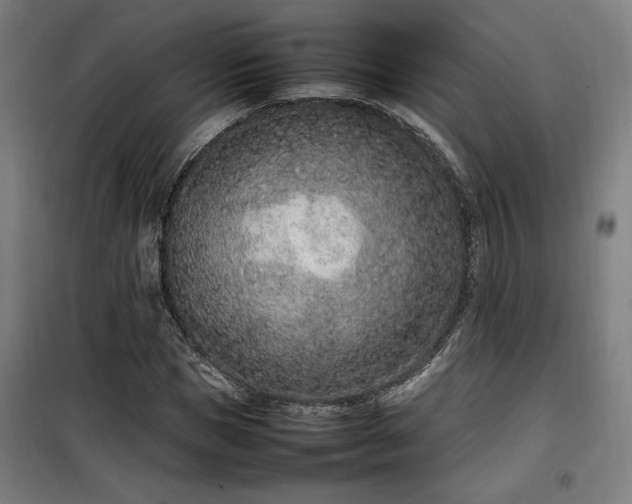 X0000100190921200805301244