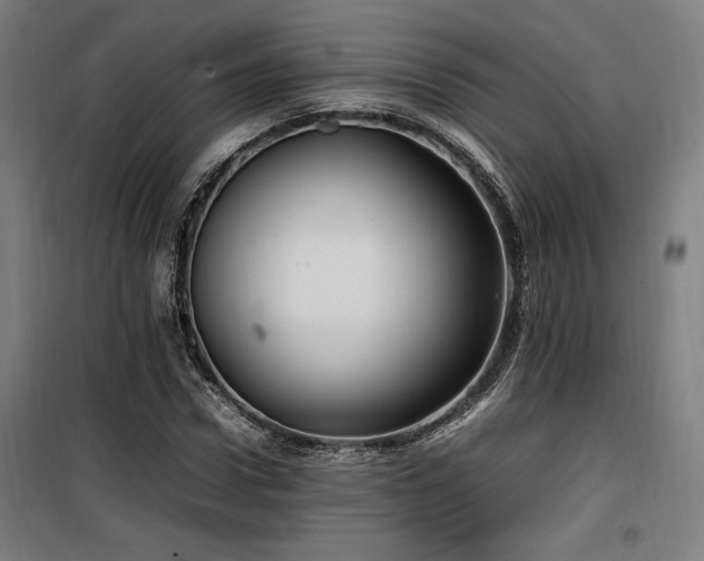 X0000100190922200805301244