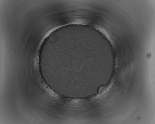 X0000100190923200805301244