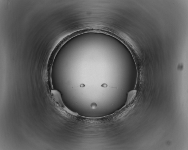 X0000100190924200805301244